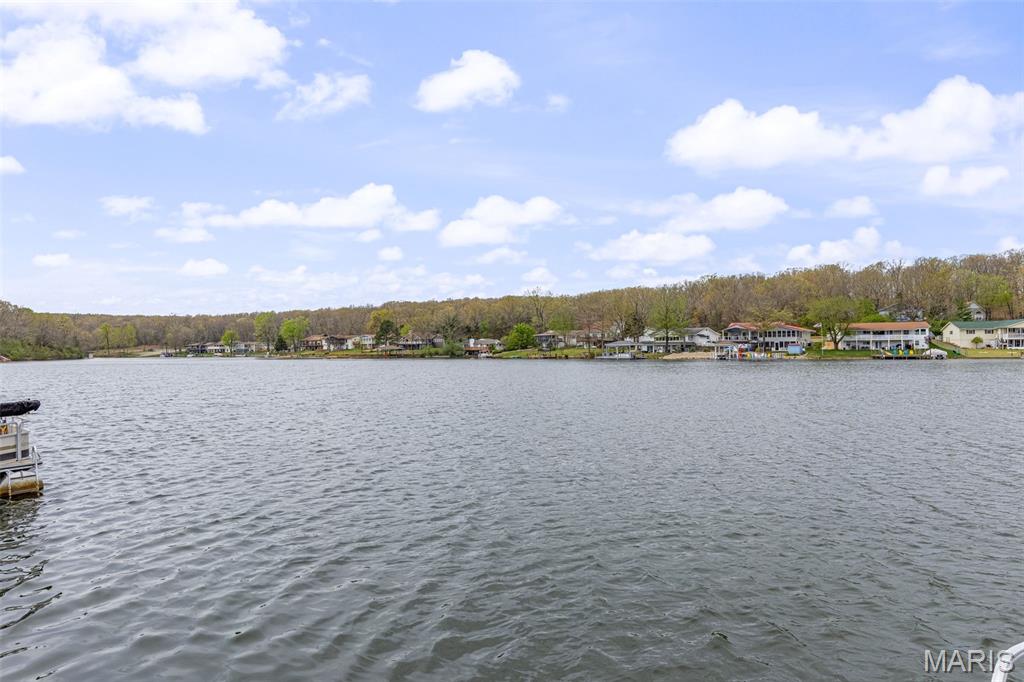 213 Rue Marseilles Bonne Terre, MO 63628 - Photo 9 of 68