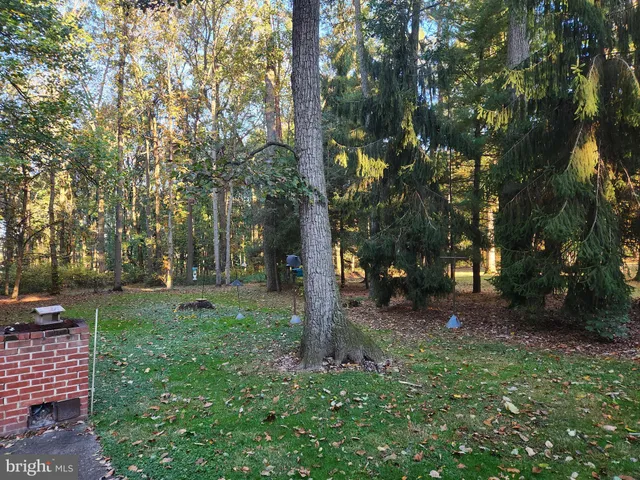 a view of a tree in a yard