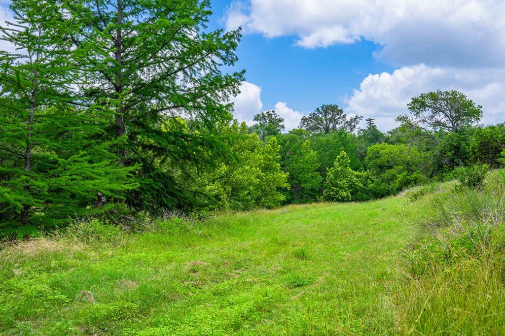 8 Cypress Creek Road Comfort, TX 78013 - Photo 20 of 39
