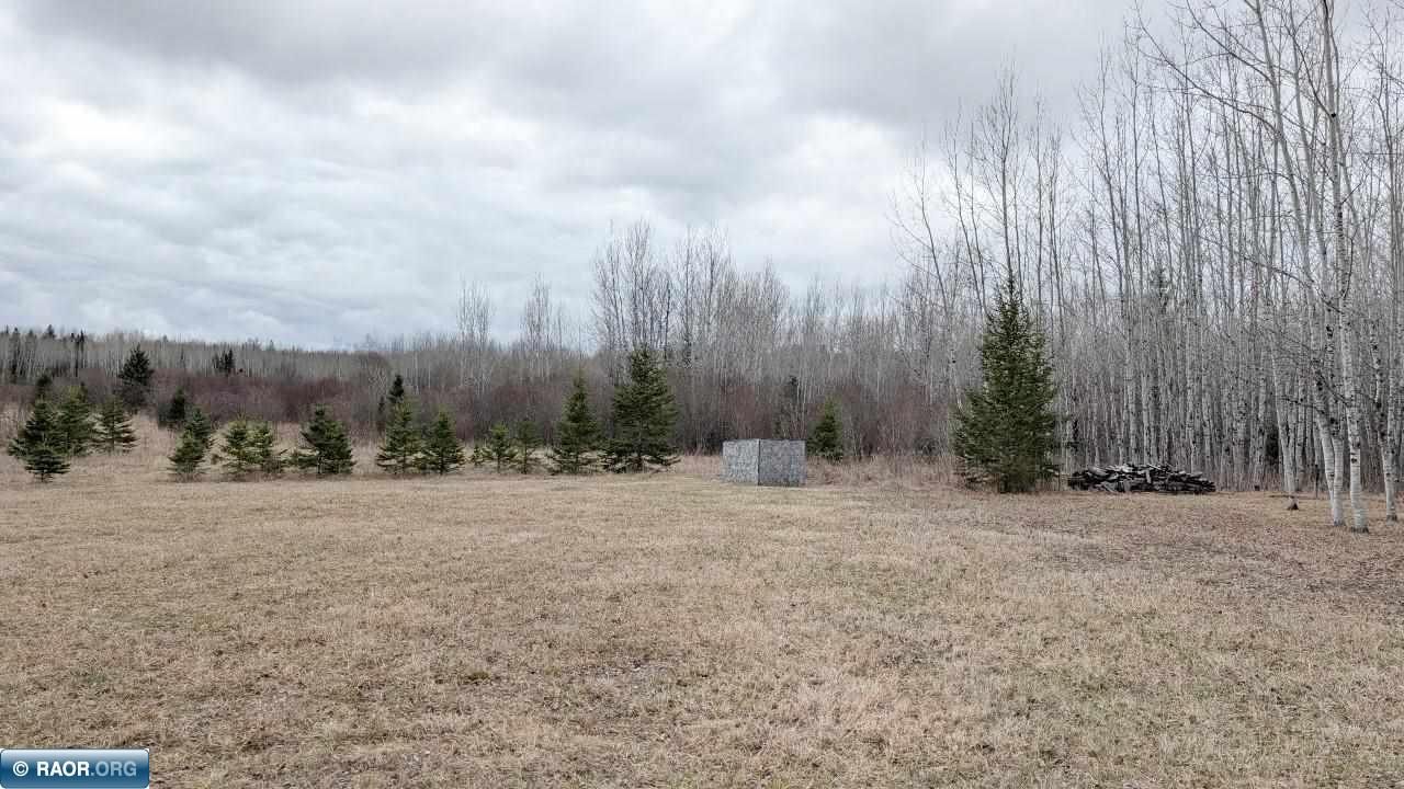 11856 State Highway 1 Cook, MN 55723 - Photo 2 of 19