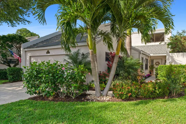 a view of a house with a tree and plants
