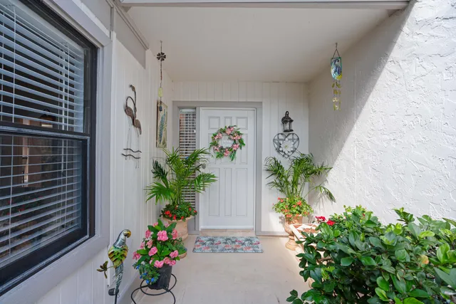 a potted plant sitting in front of a door