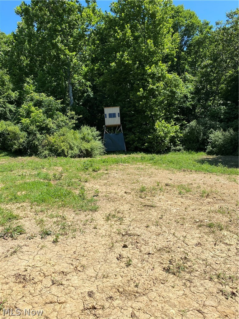 Ashton Hill Road Caldwell, OH 43724 - Photo 12 of 26