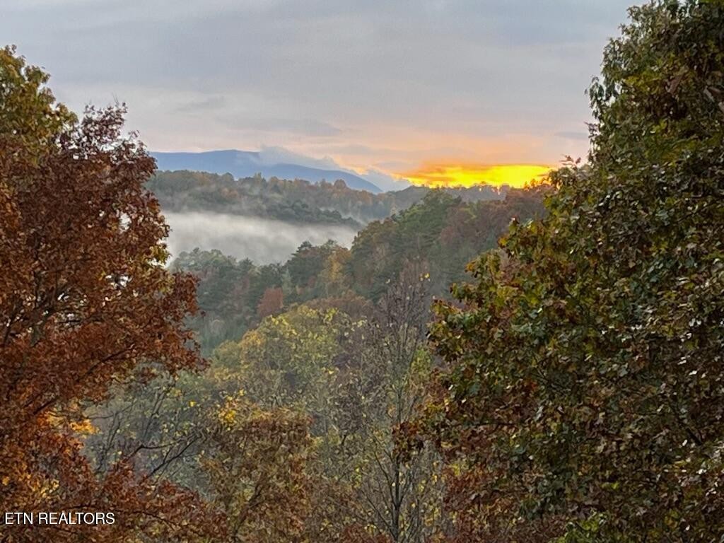 3638 Locust Ridge Road Sevierville, TN 37876 - Photo 2 of 50 a view of lake with mountain