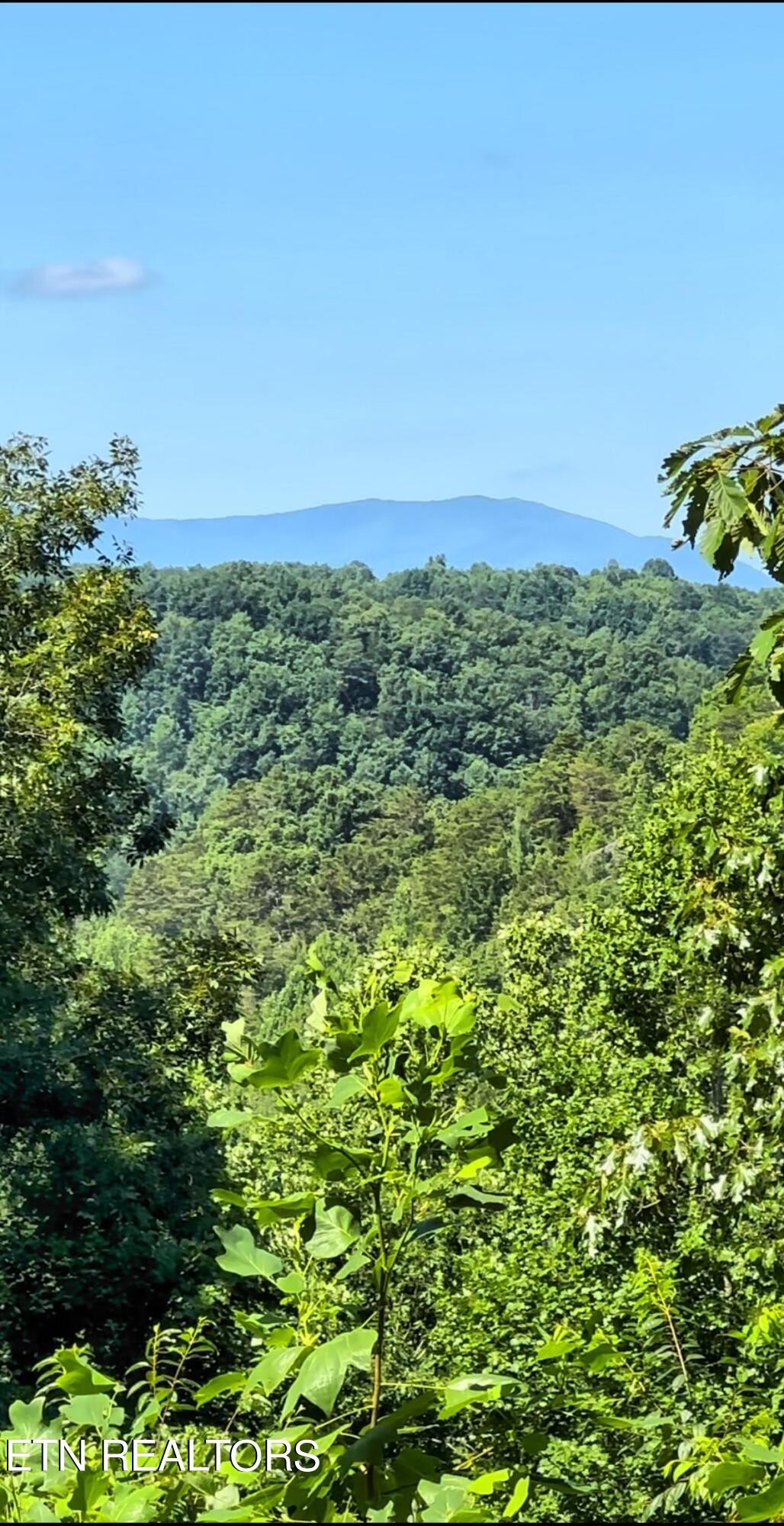 3638 Locust Ridge Road Sevierville, TN 37876 - Photo 38 of 50 a view of a large yard with lots of green space