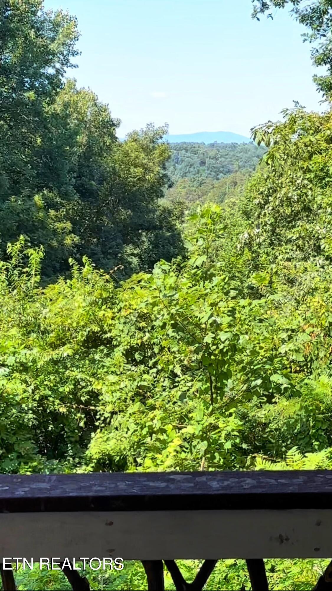 3638 Locust Ridge Road Sevierville, TN 37876 - Photo 39 of 50 a view of a garden