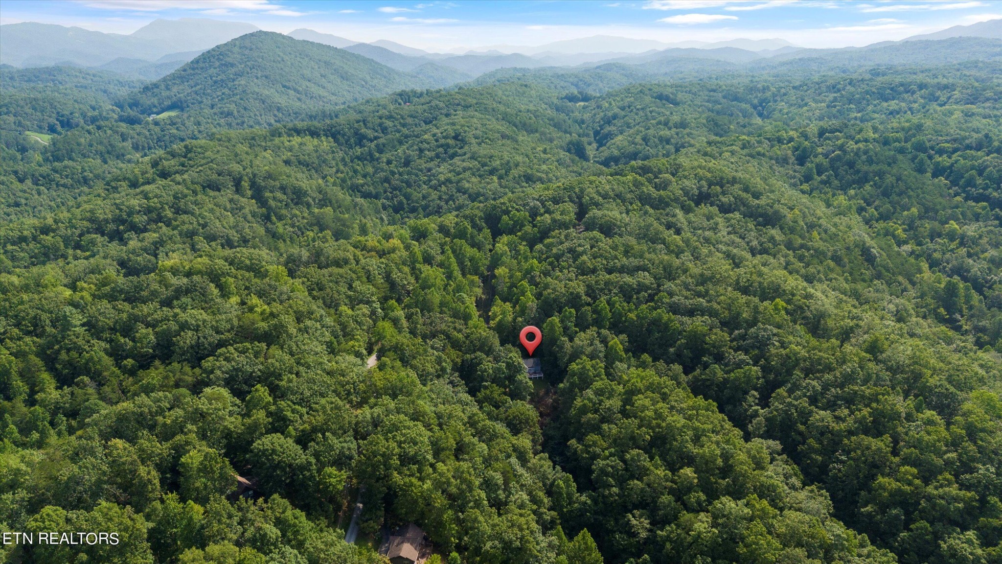 3638 Locust Ridge Road Sevierville, TN 37876 - Photo 47 of 50 a view of a lush green forest with trees and houses