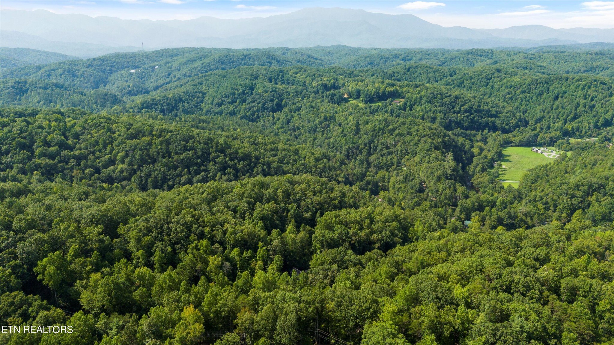 3638 Locust Ridge Road Sevierville, TN 37876 - Photo 48 of 50 a view of a lush green forest with trees and some houses