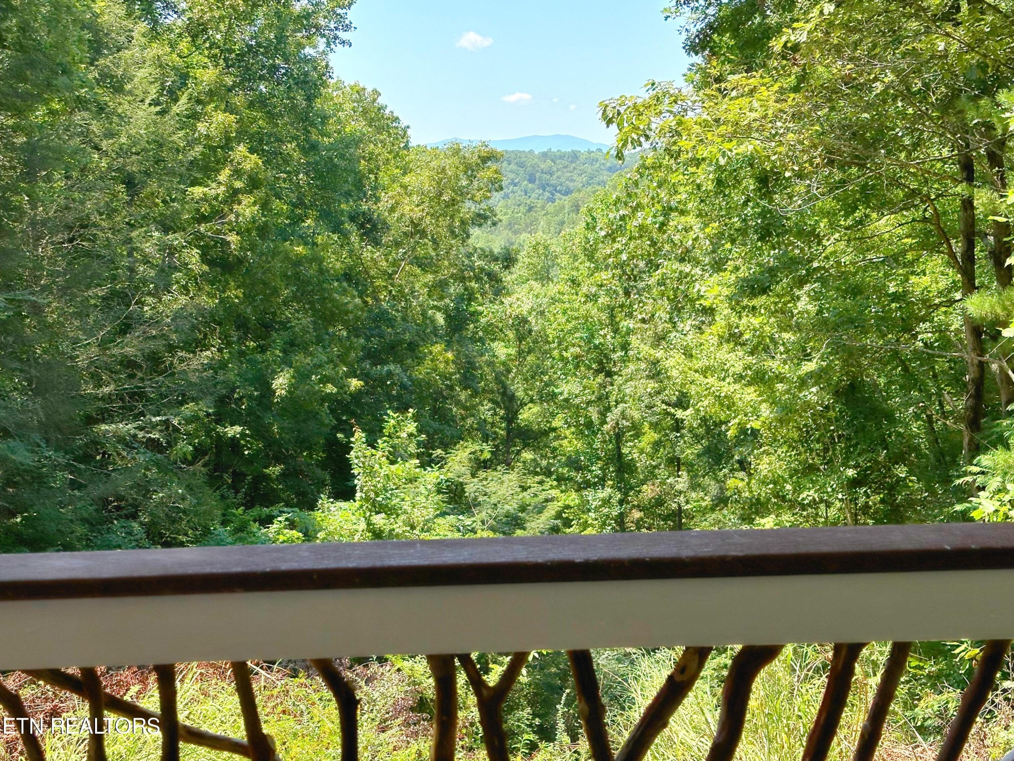 3638 Locust Ridge Road Sevierville, TN 37876 - Photo 50 of 50