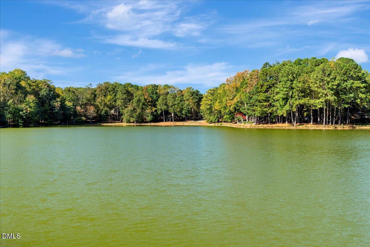 11808 Edgewater Court Raleigh, NC 27614 - Photo 17 of 56 56-DSC02191