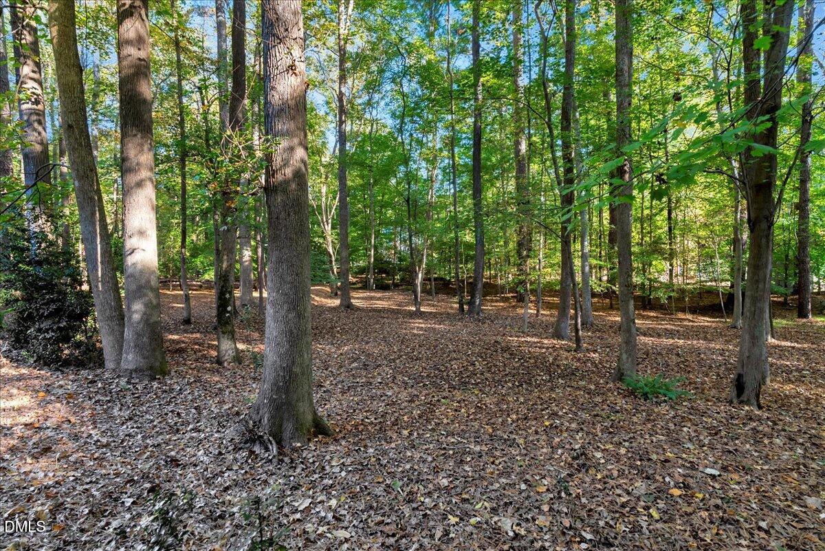 11808 Edgewater Court Raleigh, NC 27614 - Photo 18 of 56 a view of outdoor space with trees