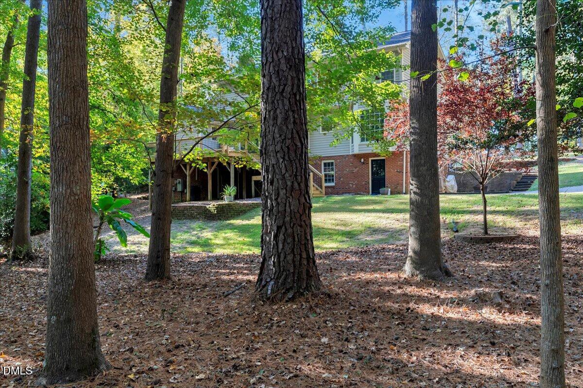 11808 Edgewater Court Raleigh, NC 27614 - Photo 21 of 56 a view of a yard with plants and large tree