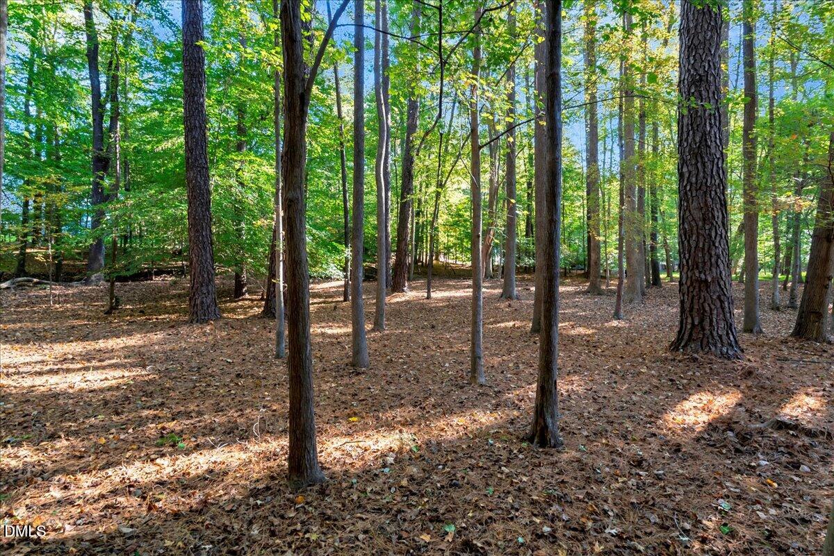 11808 Edgewater Court Raleigh, NC 27614 - Photo 22 of 56 a view of outdoor space with lots of trees