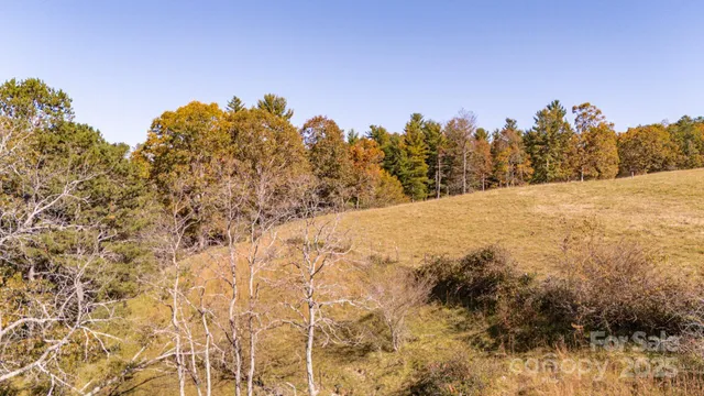 $725,000 | 318 Monticello Road, Weaverville, NC 28787