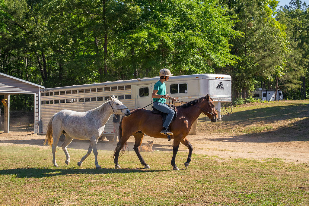 177 Muddy Branch Road Aiken, SC 29805 - Photo 28 of 34