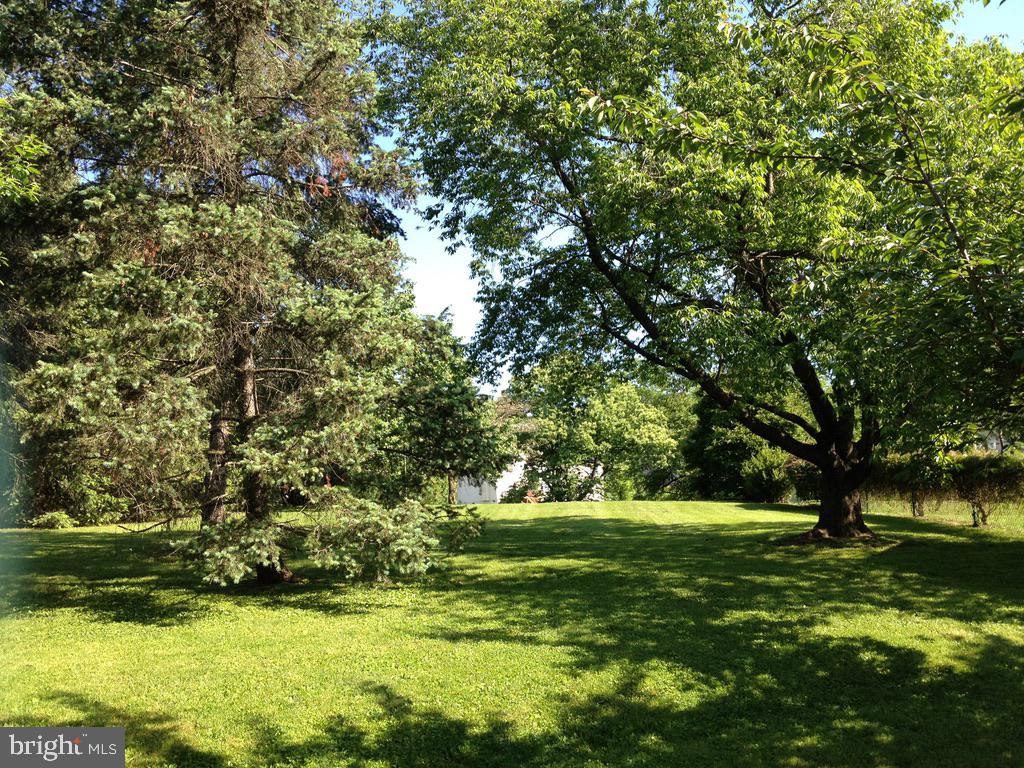 526 Egypt Road Phoenixville, PA 19460 - Photo 40 of 64 side yards