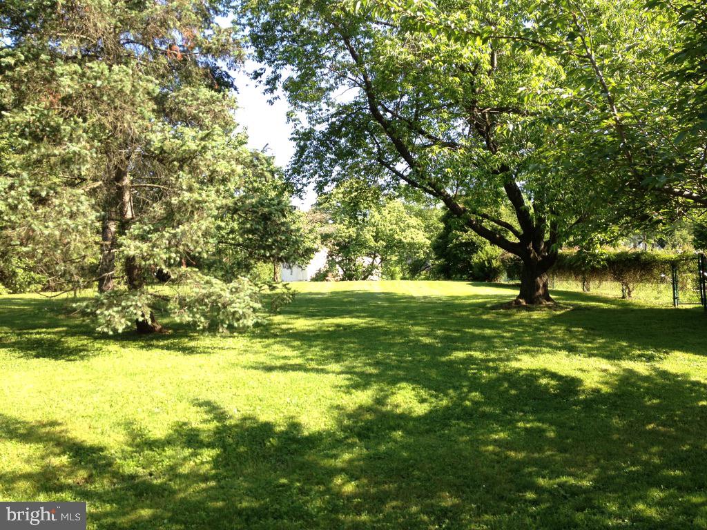 526 Egypt Road Phoenixville, PA 19460 - Photo 43 of 64 a view of yard with green space