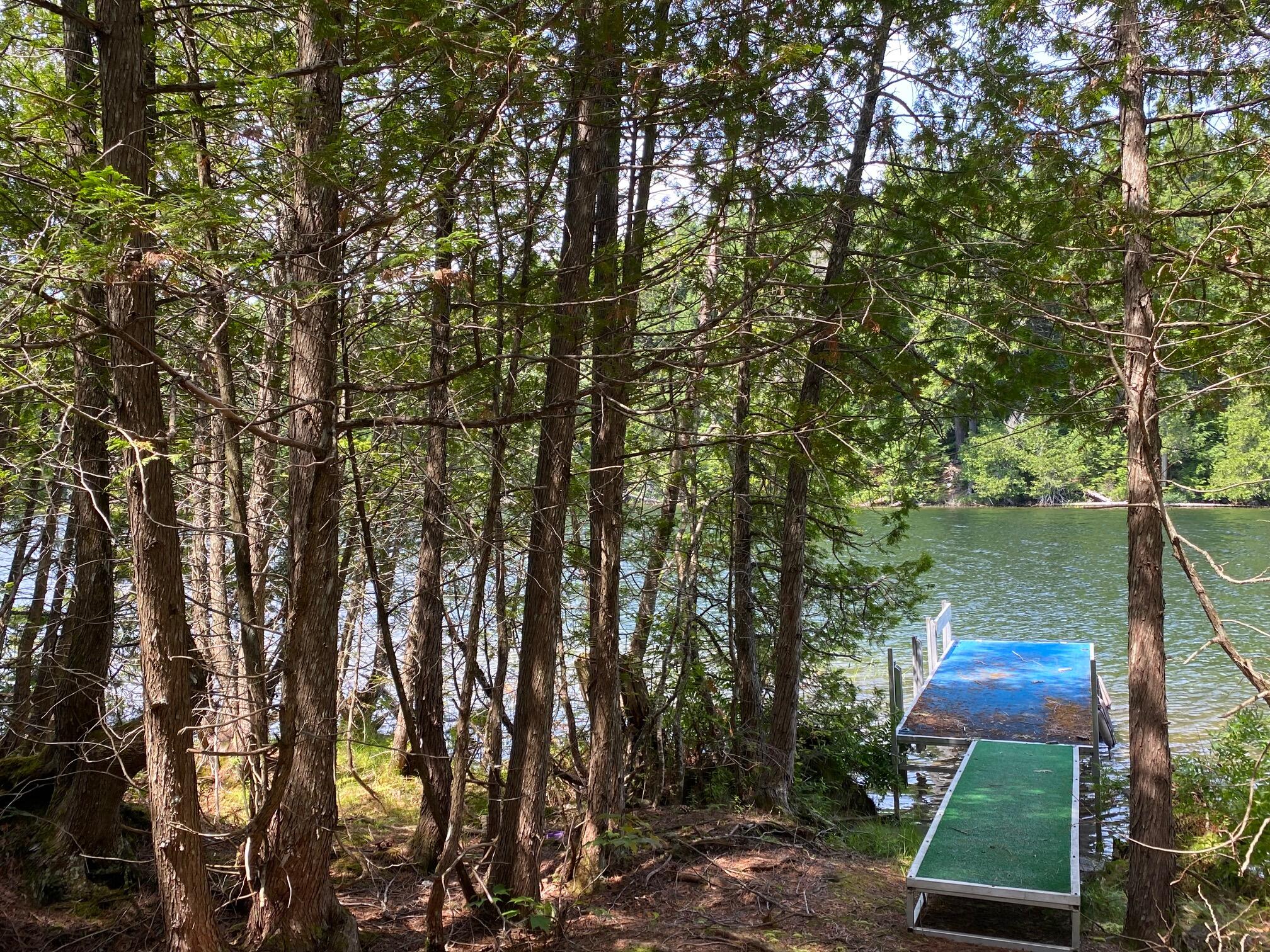 280 Greenwood Pond Road Guilford, ME 04443 - Photo 35 of 39