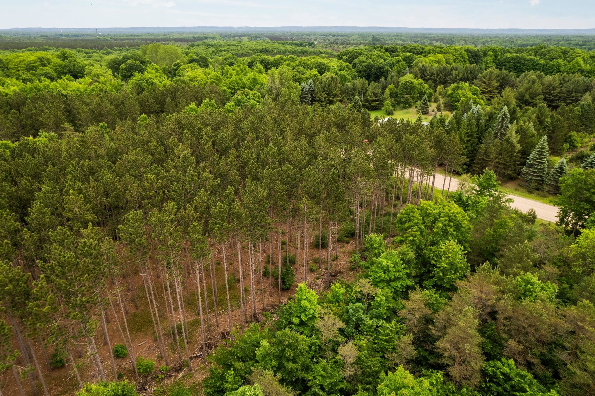Parcel E St Johns Road Interlochen, MI 49643 - Photo 18 of 39