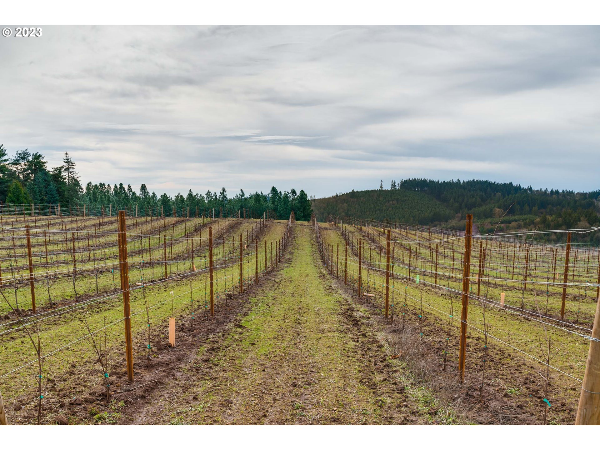 9255 Northeast Powell Hill Road Dundee, OR 97115 - Photo 7 of 8 Gallery Image 7