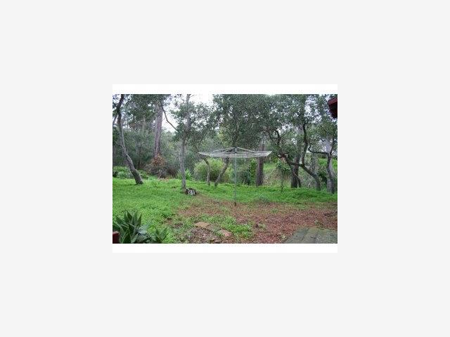222 Vía Del Rey Monterey, CA 93940 - Photo 9 of 9 Gallery Image 9