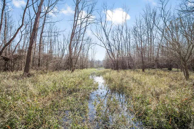 $1,990,000 | 199 Robert Williams Road, Fayette, MS 39069