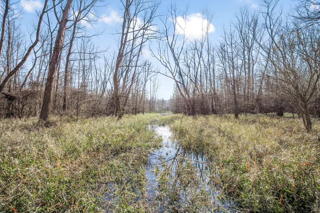 199 Robert Williams Road Fayette, MS 39069 - Photo 16 of 49 Photo 16