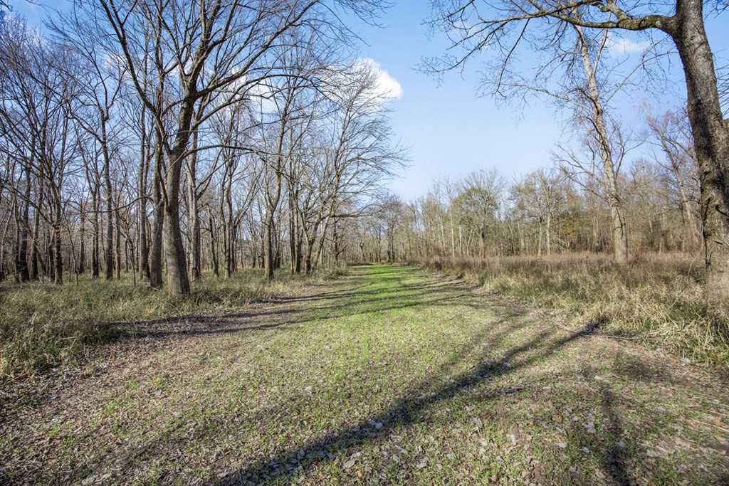 199 Robert Williams Road Fayette, MS 39069 - Photo 19 of 49 Photo 19