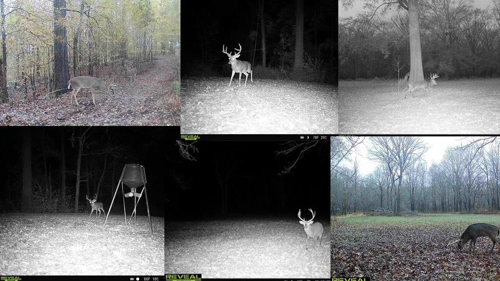 199 Robert Williams Road Fayette, MS 39069 - Photo 2 of 49 Photo 2