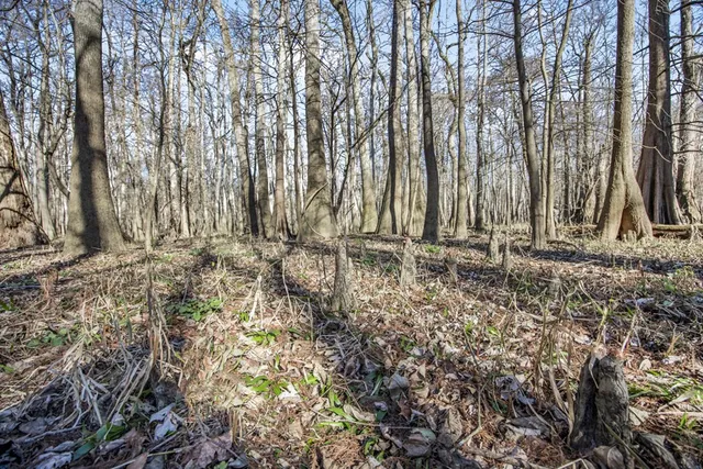 $1,990,000 | 199 Robert Williams Road, Fayette, MS 39069