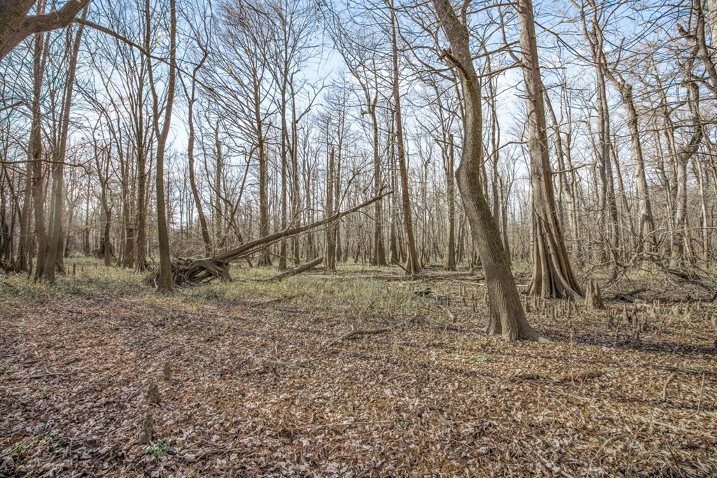 199 Robert Williams Road Fayette, MS 39069 - Photo 22 of 49 Photo 22