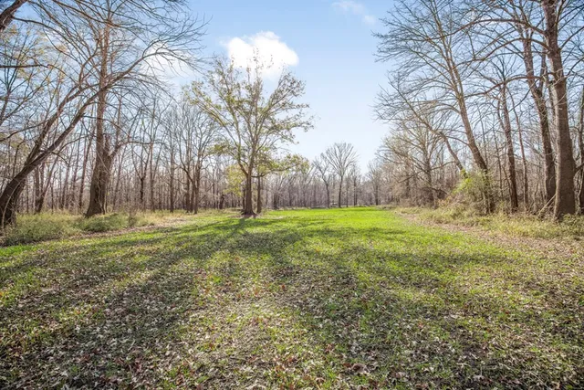 $1,990,000 | 199 Robert Williams Road, Fayette, MS 39069