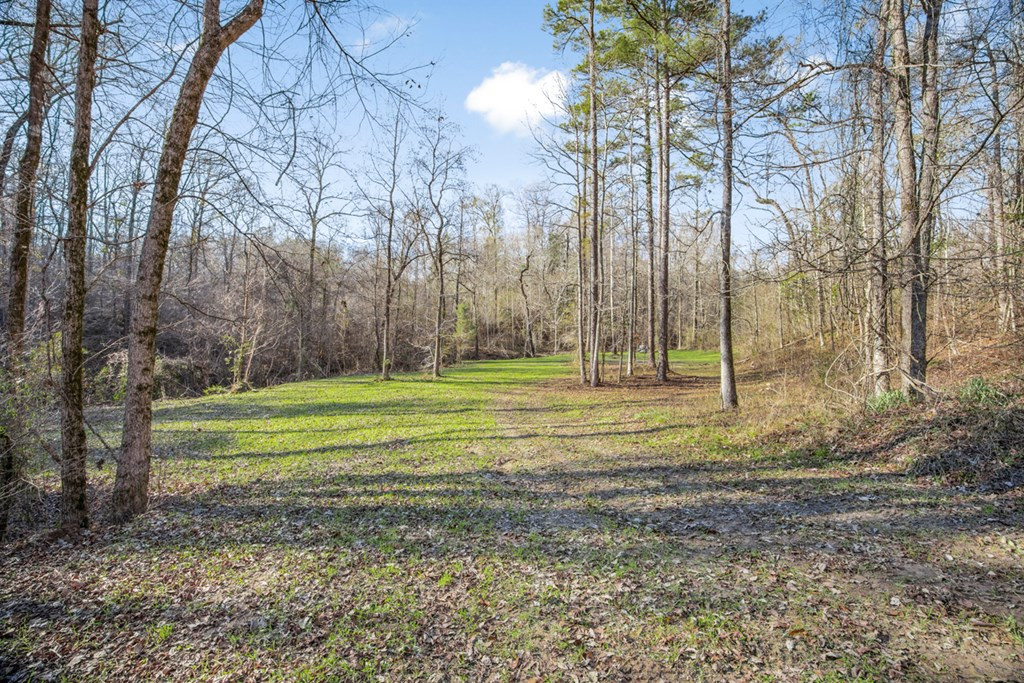 199 Robert Williams Road Fayette, MS 39069 - Photo 24 of 49 Photo 24