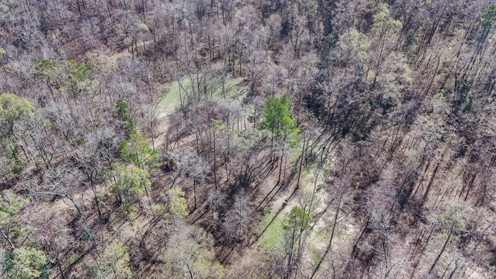 199 Robert Williams Road Fayette, MS 39069 - Photo 29 of 49 Photo 29