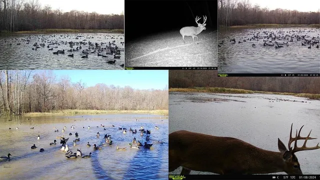 $1,990,000 | 199 Robert Williams Road, Fayette, MS 39069