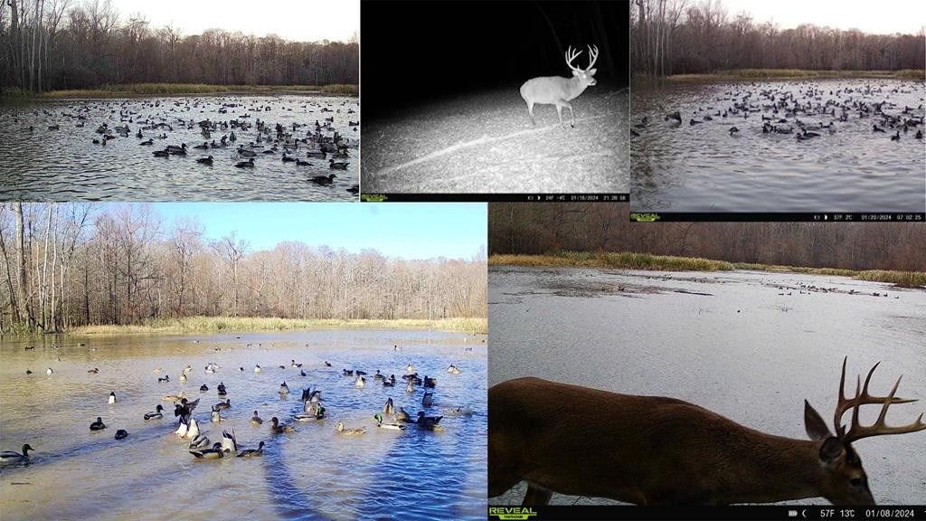 199 Robert Williams Road Fayette, MS 39069 - Photo 3 of 49 Photo 3