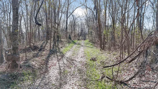 $1,990,000 | 199 Robert Williams Road, Fayette, MS 39069