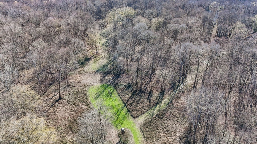 199 Robert Williams Road Fayette, MS 39069 - Photo 34 of 49 Photo 34