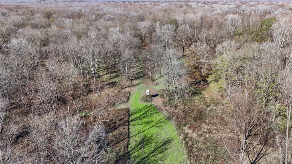 199 Robert Williams Road Fayette, MS 39069 - Photo 35 of 49 Photo 35