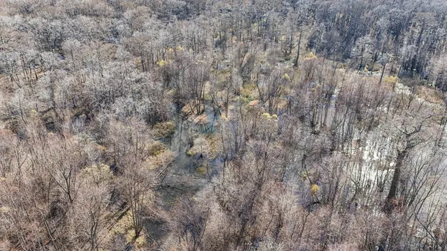 $1,990,000 | 199 Robert Williams Road, Fayette, MS 39069