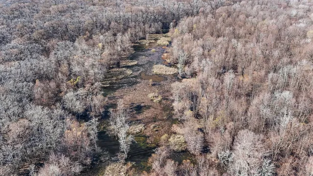 $1,990,000 | 199 Robert Williams Road, Fayette, MS 39069