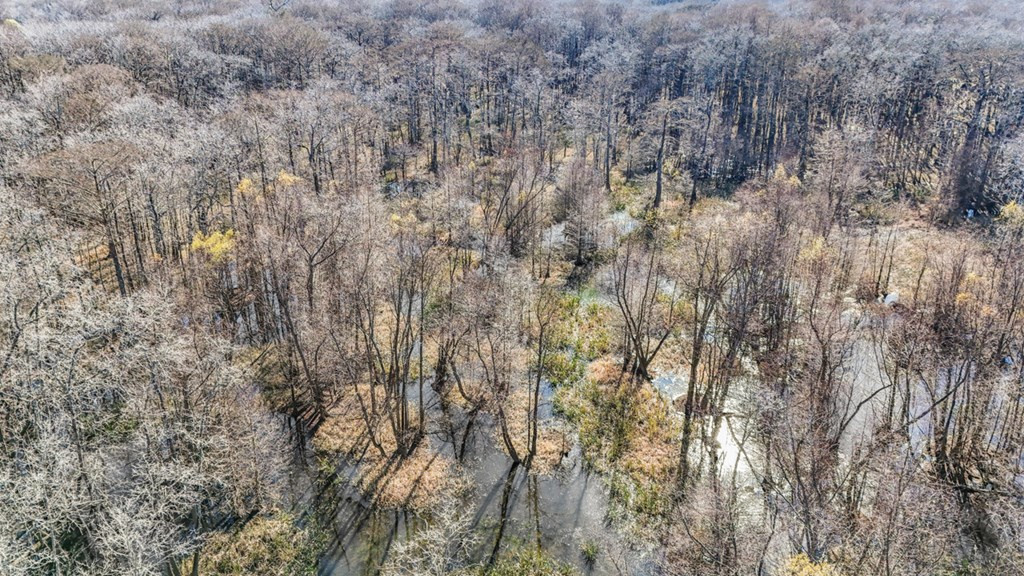 199 Robert Williams Road Fayette, MS 39069 - Photo 39 of 49 Photo 39