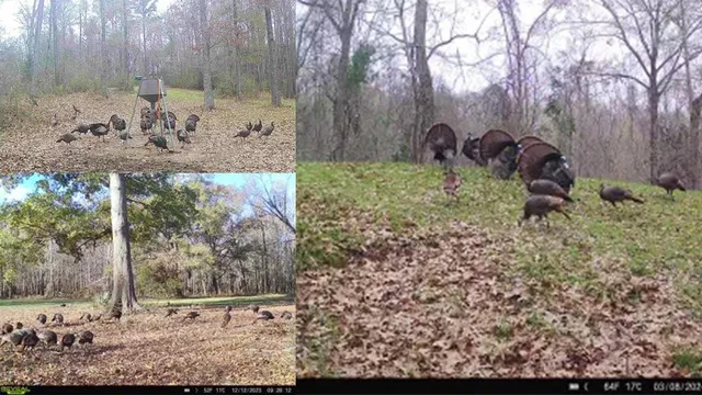 $1,990,000 | 199 Robert Williams Road, Fayette, MS 39069