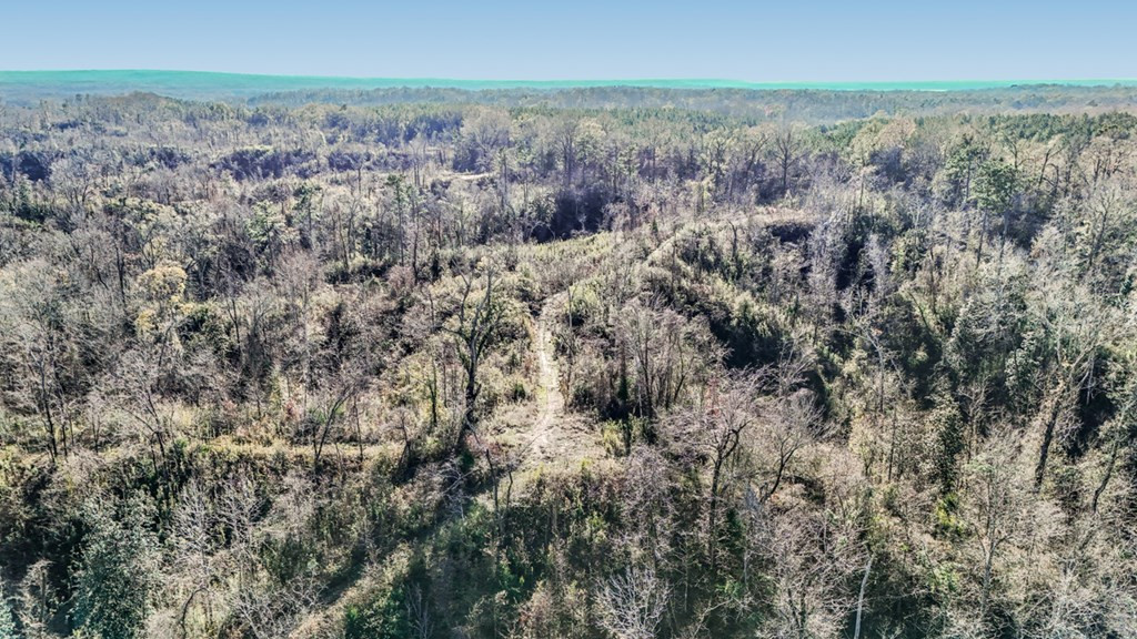 199 Robert Williams Road Fayette, MS 39069 - Photo 45 of 49 Photo 45