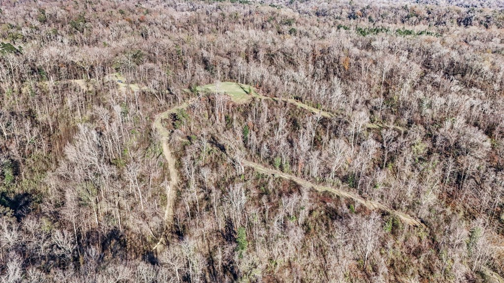 199 Robert Williams Road Fayette, MS 39069 - Photo 46 of 49 Photo 46