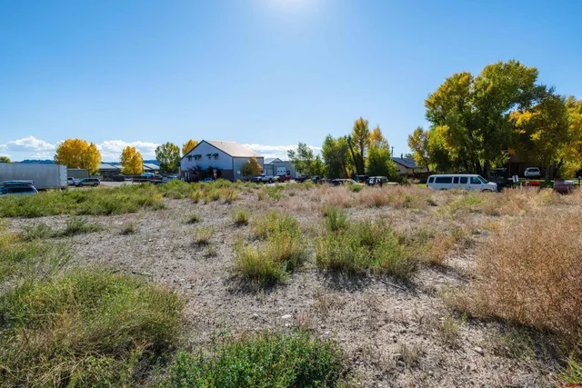 a view of a dry yard with wooden fence