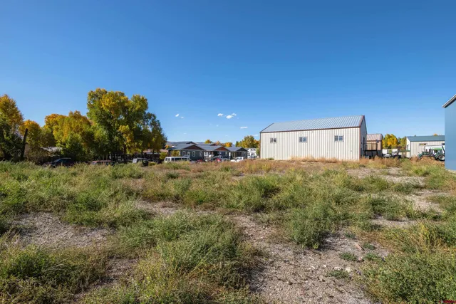 a view of a dry yard with green space