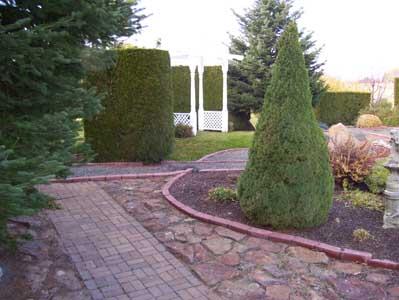 2341 Rosenkranz Road Tieton, WA 98947 - Photo 17 of 23 a view of a backyard
