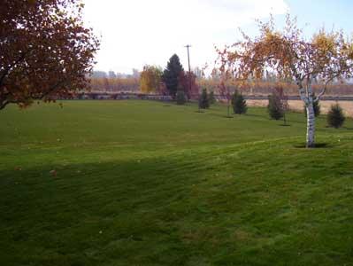 2341 Rosenkranz Road Tieton, WA 98947 - Photo 19 of 23 a backyard of a house with lots of green space