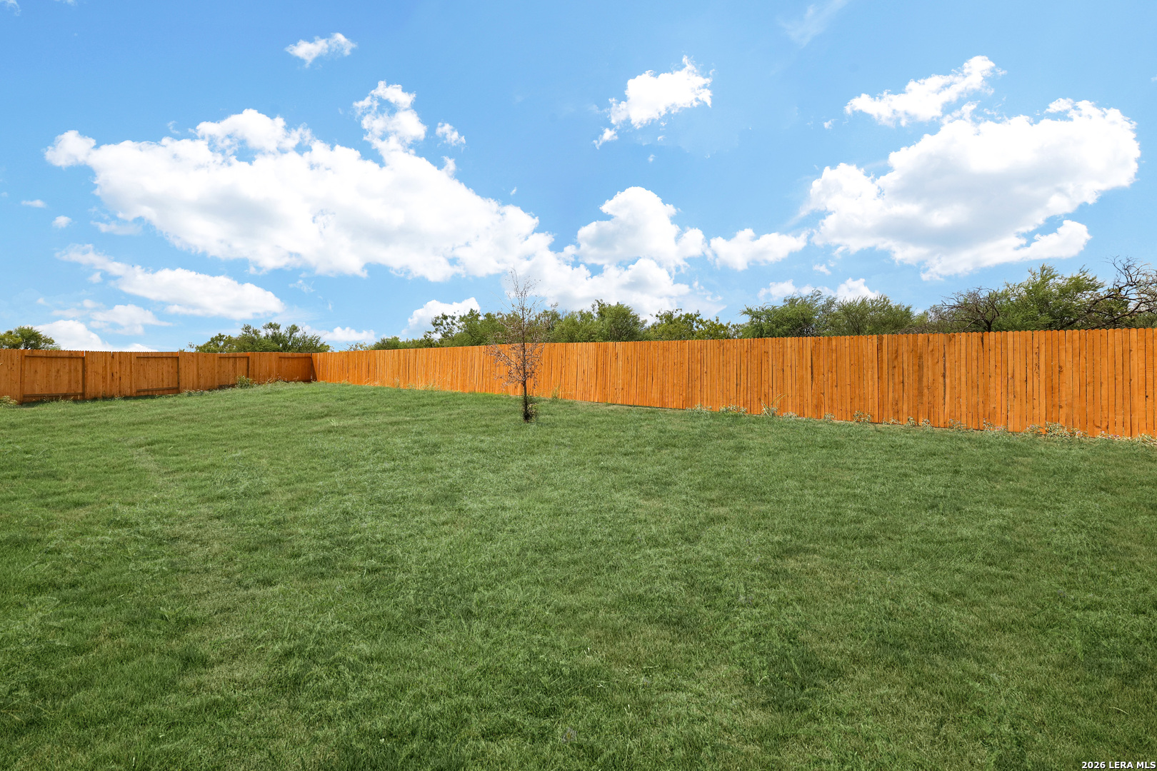6403 Warhol Cape Converse, TX 78109 - Photo 26 of 29 a view of a lake with houses in the back